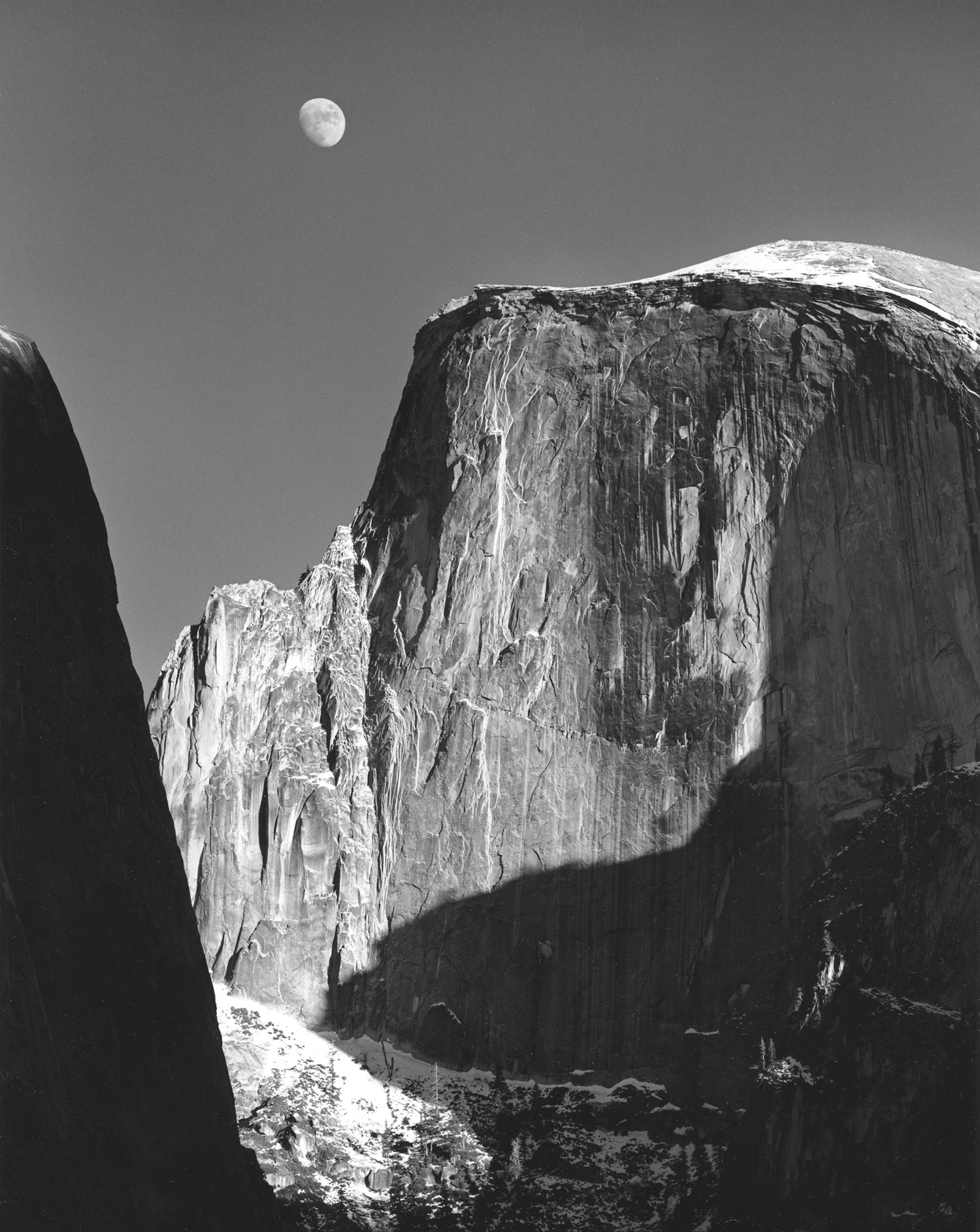 Sharing the Light: Ansel Adams and Alan Ross