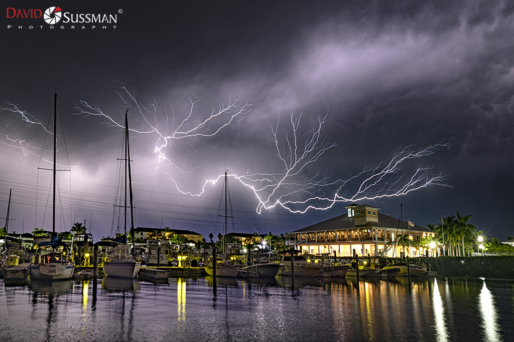 David Sussman: River Meets Harbor