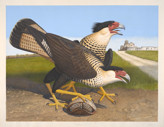 Of Birds & Texas: The Art of Stuart & Scott Gentling