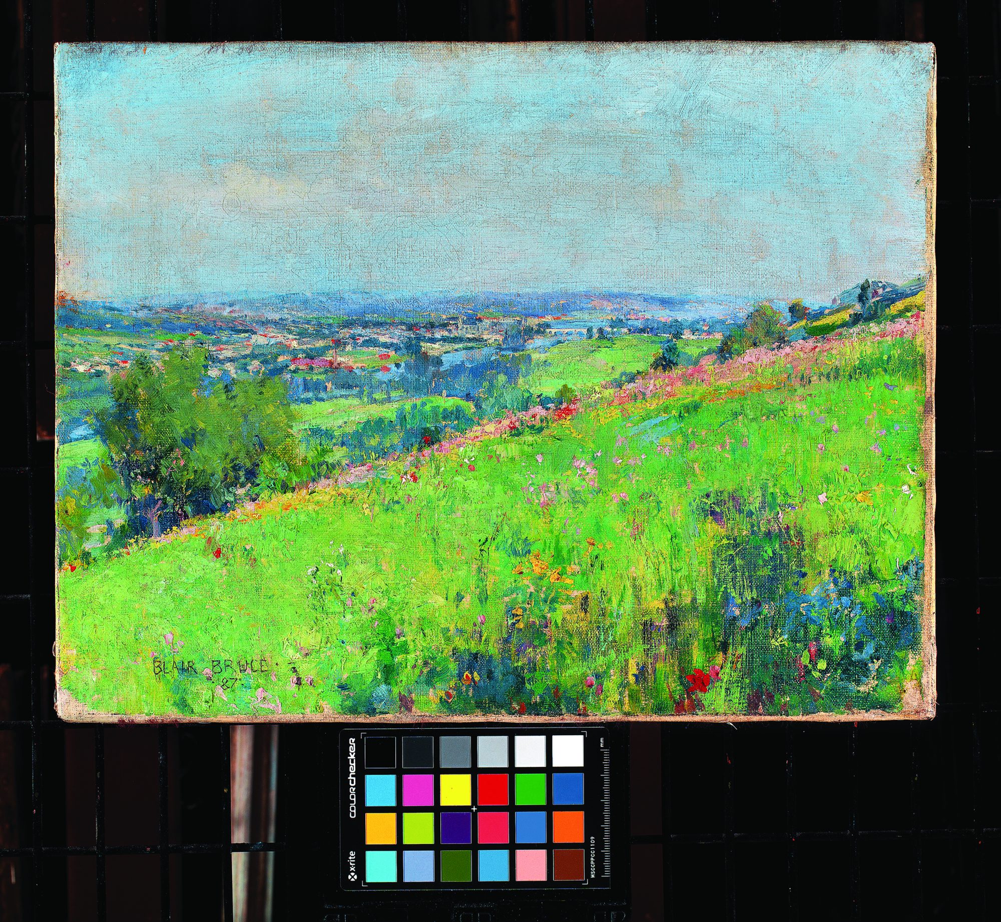 Pigment to Pixel: Digitizing the Permanent Collection