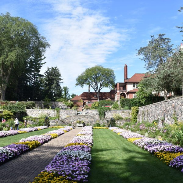 EBF_7748_Sunken_Garden_2019.jpg
