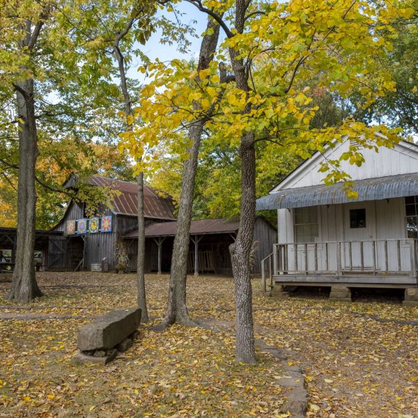 Autumn-Scene.jpg