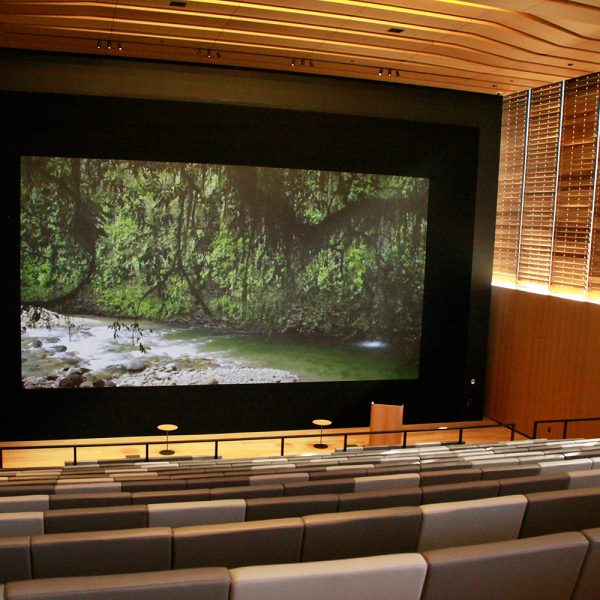 Discover-Auditorium.jpg