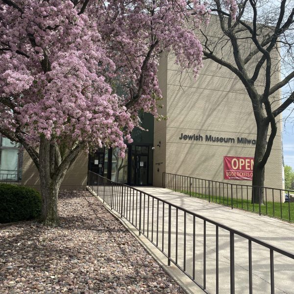 Cherry-blossoms-2022.jpg